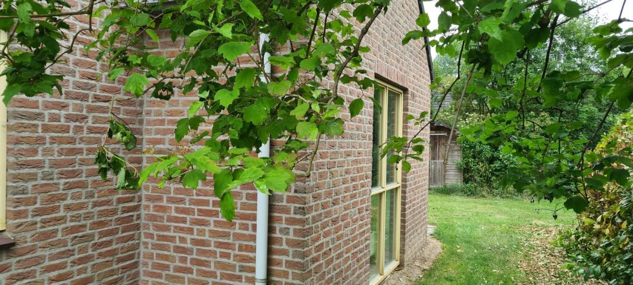 Forestview 'Queenstown' 6 Pers Very Child-Friendly By Kawatea Cottages (Adults Only) Ewijk Экстерьер фото